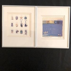 Framed Seashell Pictures (2)